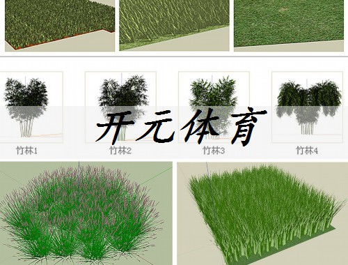 衡水园建园林绿化工程有限公司