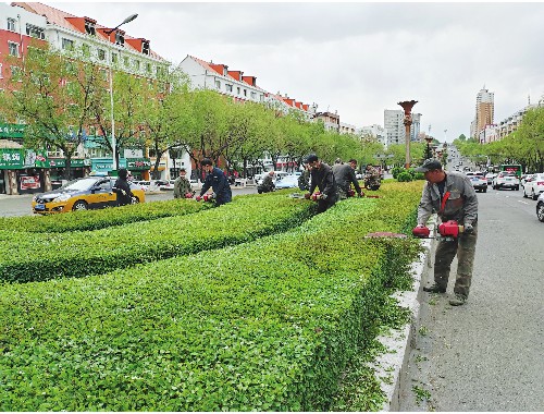 沙河要干市政绿化工程需要什么条件