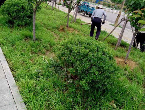 沈阳海绵城市绿化率