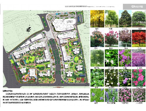 池州要干市政绿化工程需要什么条件