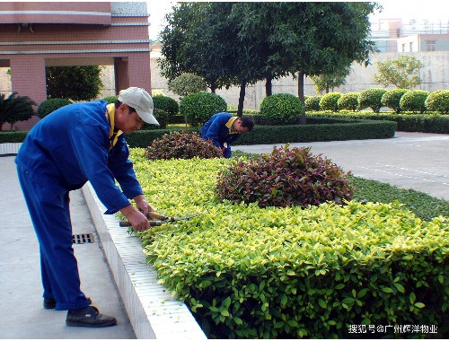 市政绿化工程工作内容简述